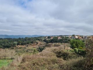 Terreny residencial  Calle paisos catalans. Sol nou te ofrece la parcela ideal para construir la casa de tus