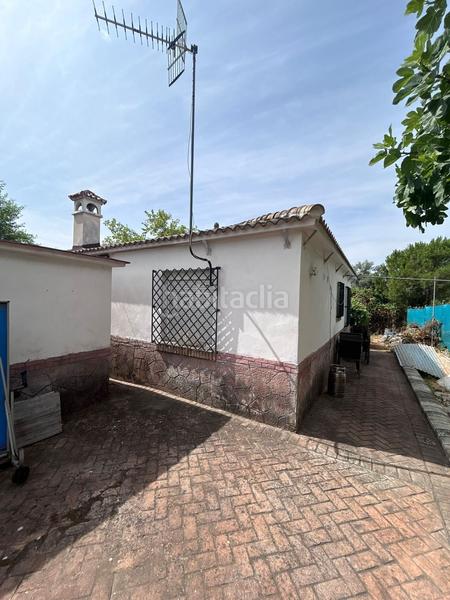 Foto 1cda1aab-349c-4a9a-bc30-d86a4ec68720. Xalet a Almodóvar del Río