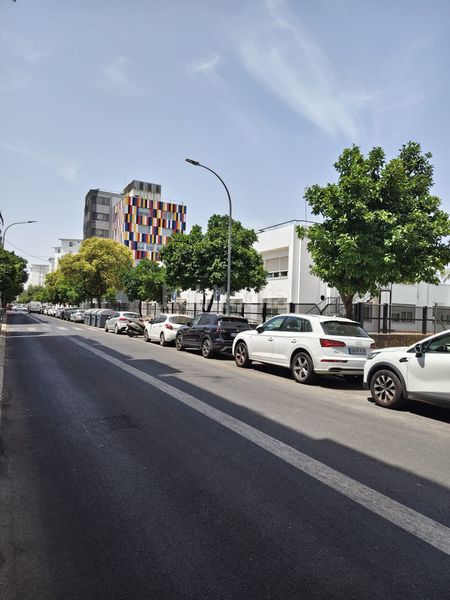 Foto a01a9d2a-7298-4e22-83c9-816d53a2b27b. Pis a Sector Sur Córdoba