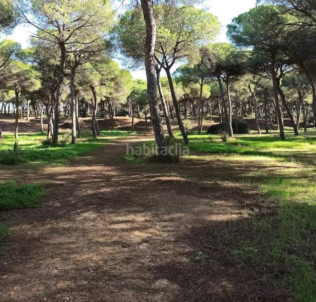 Foto 478ee374-e7ae-4eb6-9f61-9af9e2f3d6d2. Pis a El Juncal - Vallealto Puerto de Santa María (El)