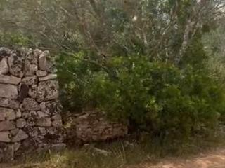 Finca rústica a Algaida. Se vende finca para edificar unifamiliar