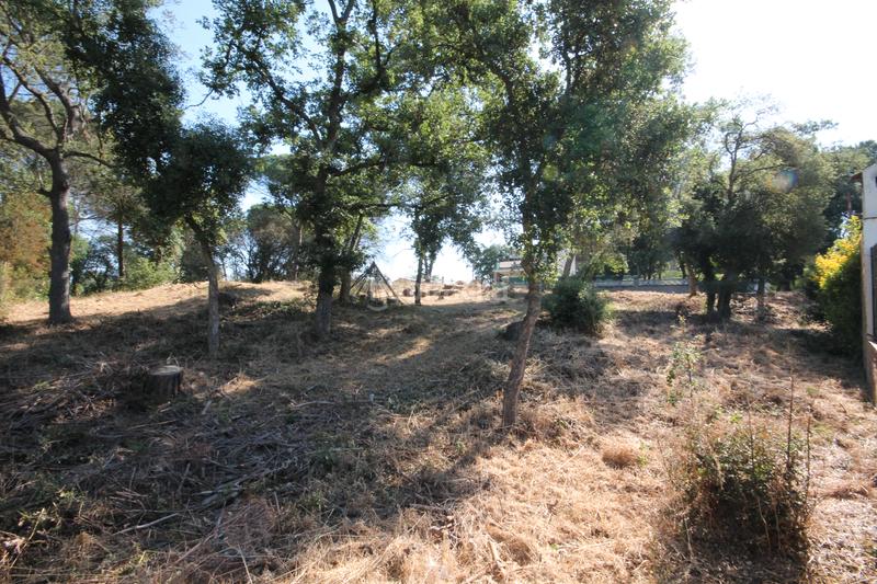 Foto 2c66f3be-8988-4be2-93fb-3984e97e6a6f. Terreno residenziale in Llagostera