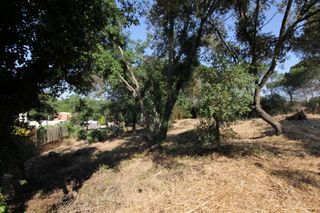 Terreny residencial  Carrer beg�nia. Fant�stica parcela cerca de la costa brava