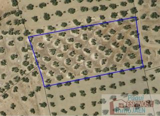 Terreny residencial a Pardaballasco. Torredonjimenoterreno