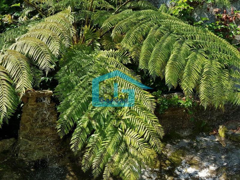 Foto 1d98f8f9-2f19-49f8-aebe-a2bb3287905b. Xalet a n/a a Vilanova de Arousa