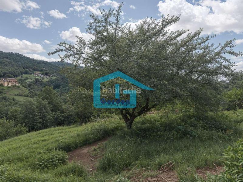 Foto bbd7079b-aee1-48f4-8232-8fcd59525826. Bauernhof in n/a 52 in Cotobade