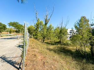 Terreny residencial a Carrer de les repassadores 7