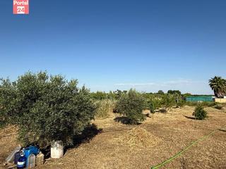 Terreny residencial a Pedanías de Badajoz. Parcela totalmente vallada en las casas aisladas de gévora