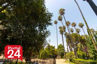 Àtic a Casco Antiguo