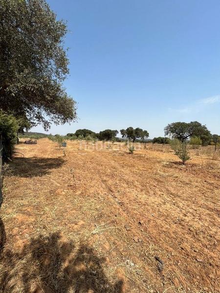 Foto 85c8de35-0691-45c2-acdf-2b64bc76bb7e. Chalet avec piscine dans Cheles