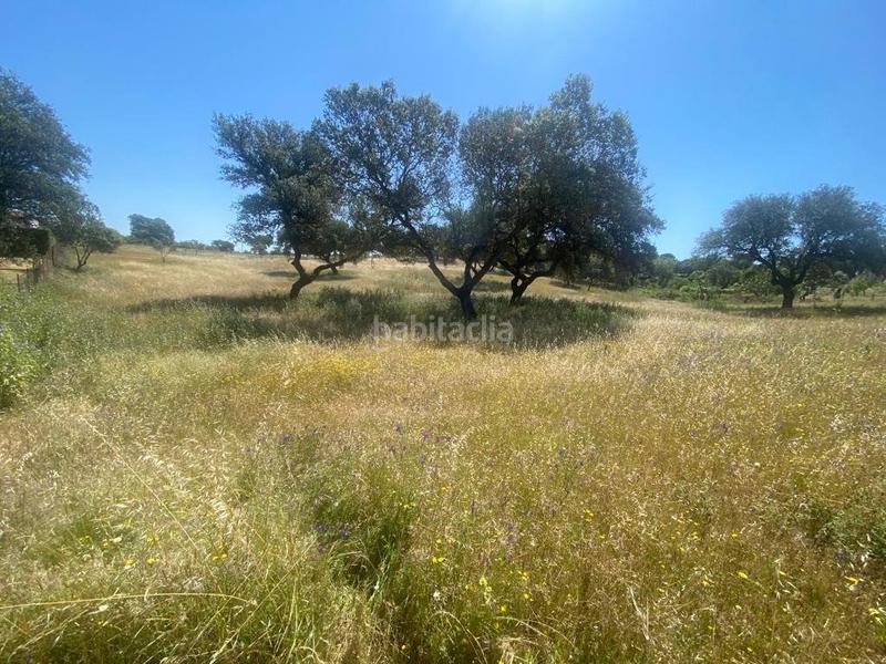 Foto 5b1429b5-d9e3-42f7-814d-1e7b85572075. Terreny residencial a Dehesilla de Calamón - Campomanes Badajoz