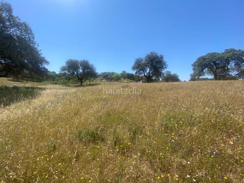 Foto d91d6024-fa62-482d-972b-bc876fcf1ebc. Terreny residencial a Dehesilla de Calamón - Campomanes Badajoz