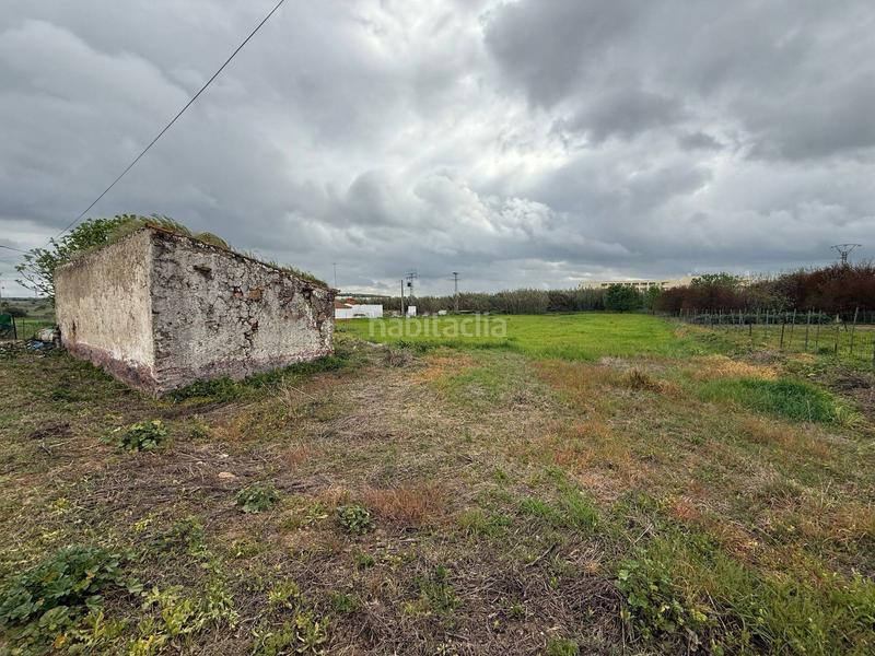 Foto 9f260b95-54e0-486e-93cd-12a76bf6c69e. Casale in Olivenza