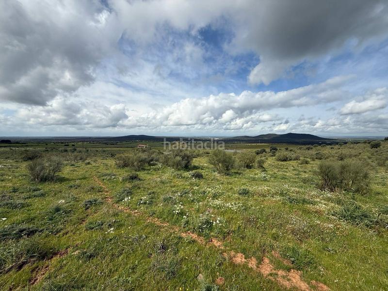 Foto a1b3389b-60ba-45e5-a82b-d65a2accfd89. Casale in Olivenza