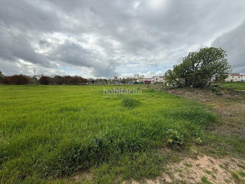 Foto a2069a6f-bac0-4e67-ba6f-030068a5ee4f. Casale in Olivenza