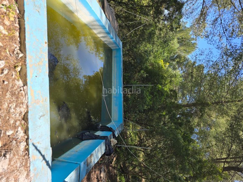 Foto fa5ed1a0-fef0-4091-87ae-7f704b7e5953. Xalet amb aparcament piscina a Mancor de la Vall