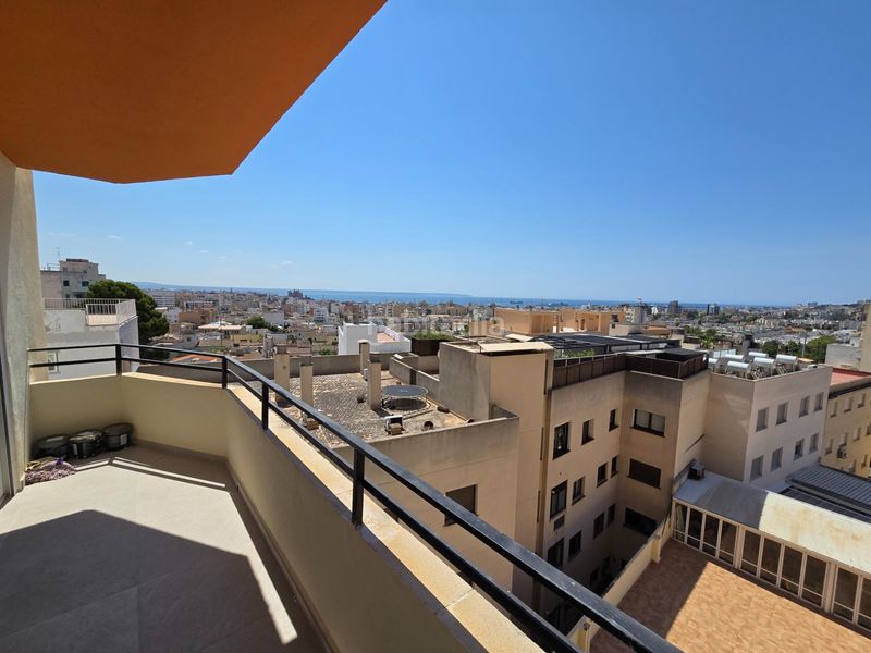 Foto d035e5f5-0327-4828-8501-1e505b73cd6e. Pis a Son Espanyolet Palma de Mallorca