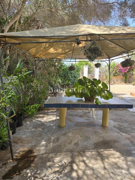 Foto 6ac56794-5178-4f55-8d8b-fd28545c9bb9. Terreny residencial a Cala Figuera Santanyí