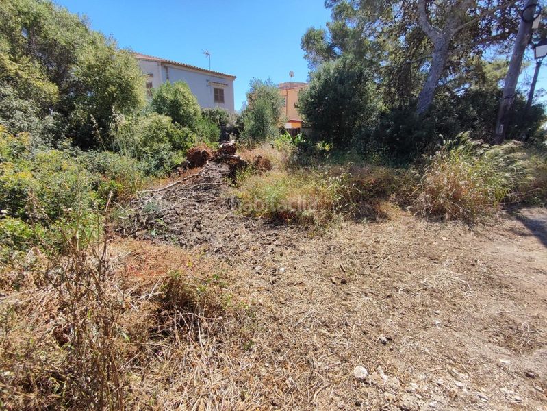 Foto 431f28e0-f55c-40e0-a9a3-713a23bdede4. Terreny residencial a Font de Sa Cala Capdepera
