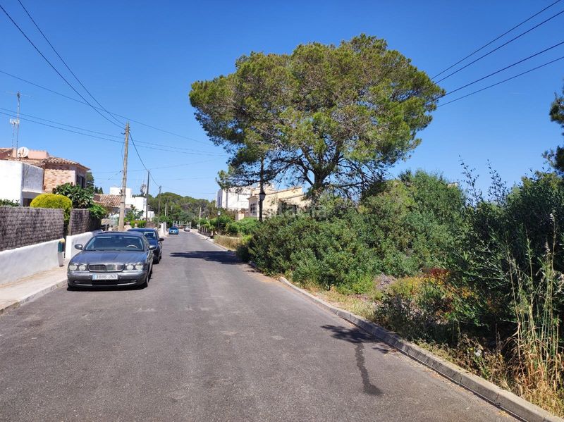 Foto ab5854a3-d8c3-4ed7-b411-de8926949b23. Terreny residencial a Font de Sa Cala Capdepera