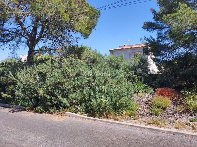Foto d74e8ed7-3075-4fd3-b81f-cf4c16bf95ef. Terreny residencial a Font de Sa Cala Capdepera