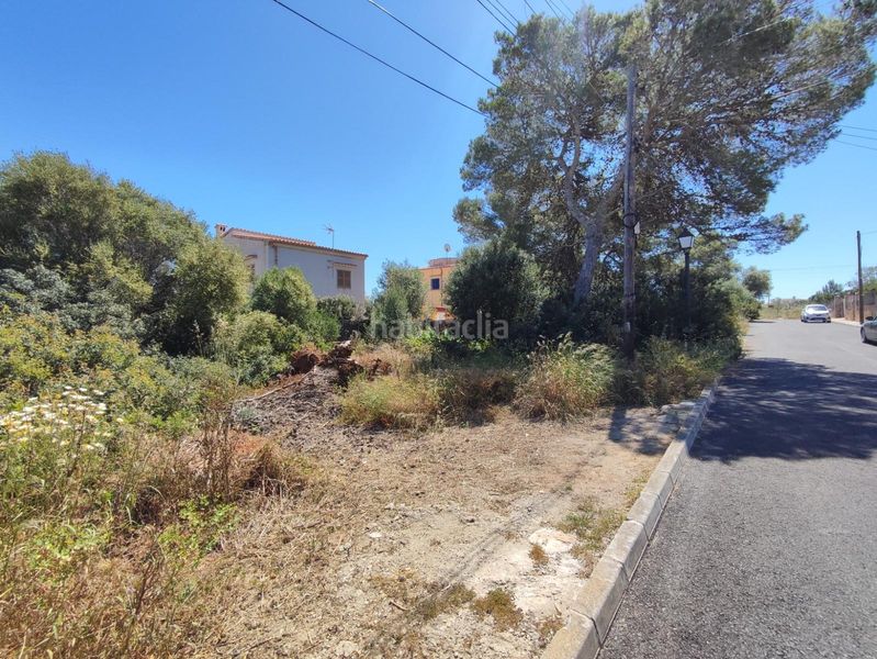Foto e07587f1-8ac5-461c-b0d3-5059dc44fbe3. Terreny residencial a Font de Sa Cala Capdepera