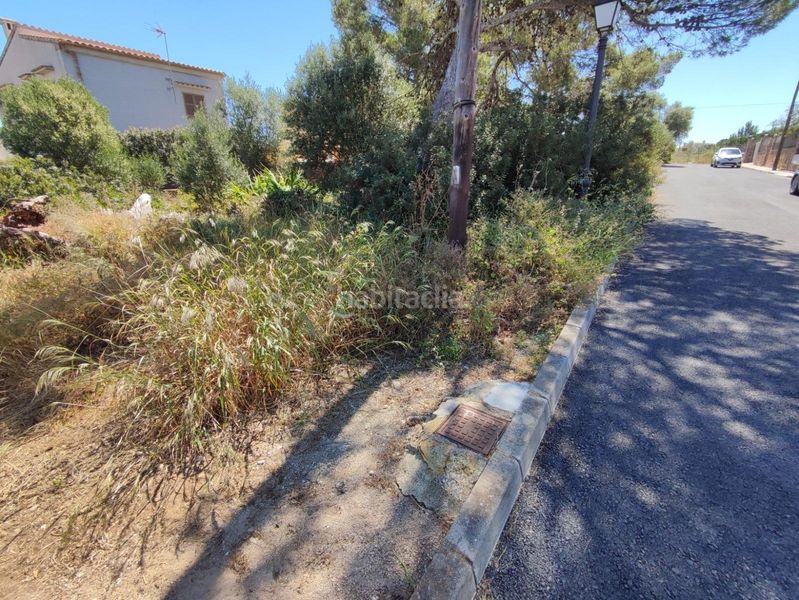 Foto ece97cf4-7dd6-4cc0-b20a-69f3586aff3d. Terreny residencial a Font de Sa Cala Capdepera