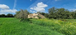 Mas à Manacor Centre. Finca rústica en venta en manacor