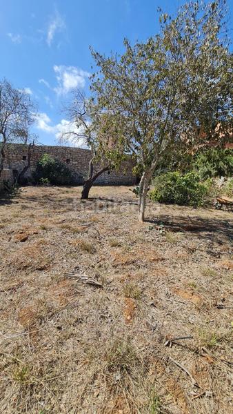 Foto f90ffef4-11b1-4a3f-858b-d68288cd406d. Xalet amb calefacció a cala Santanyí Santanyí