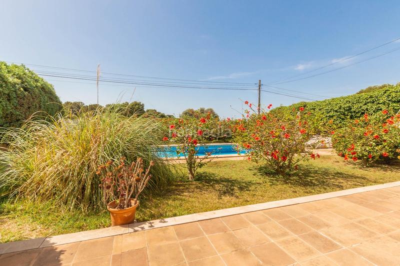 Foto 91b7446a-8d46-45d3-b4bb-1a5bdd26fcce. Piano terra con riscaldamento piscina in Felanitx poble Felanitx