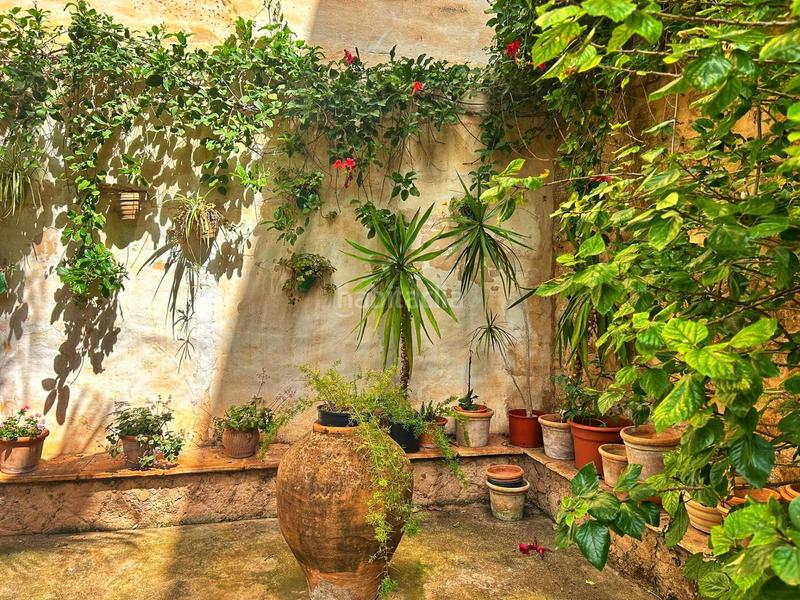 Foto 3308d302-fc53-4ca1-b813-87fdf62c7a41. Casa donde el tiempo se detiene en Sóller