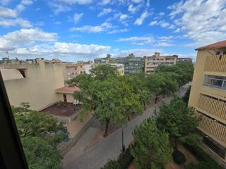 Pis a Sa Indioteria Urbà. Tu hogar ideal en palma de mallorca te espera!