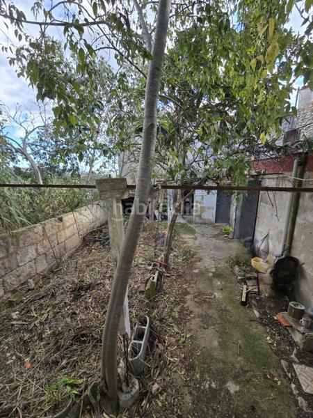 Foto 77706b2d-6ab5-49db-a48d-708e64d3c0fa. Planta baja encantadora planta baja con terraza y vistas a la montaña en Campanet