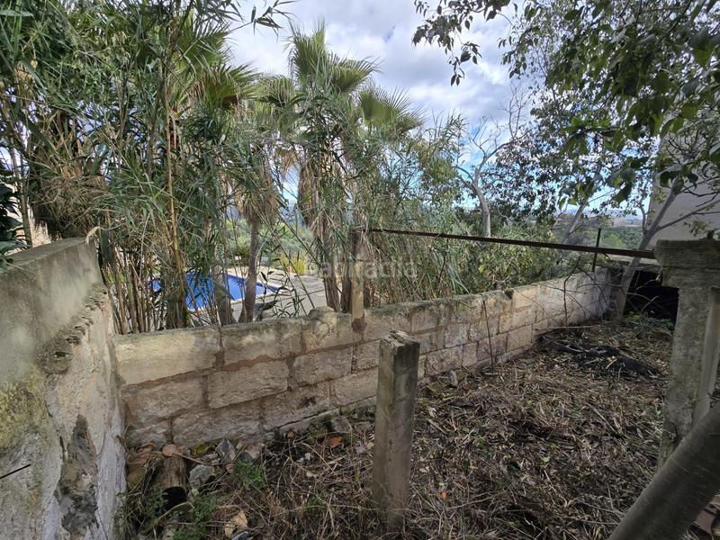 Foto 8d8acfc3-b79e-4378-b83f-43c03d97e4d7. Planta baja encantadora planta baja con terraza y vistas a la montaña en Campanet