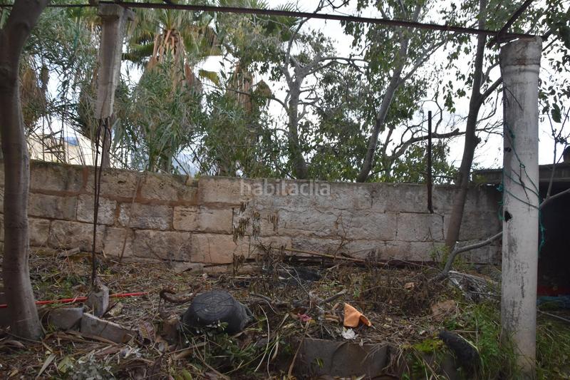 Foto c0b7b385-575e-41aa-abd4-35e678d4e3a8. Planta baja encantadora planta baja con terraza y vistas a la montaña en Campanet