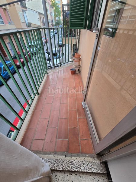 Foto a5fc8061-1497-4f35-a8be-97e586cef3a6. Pis a Pere Garau Palma de Mallorca