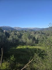 Terreny residencial a Campanet. Oportunidad de inversión en campanet terreno urbano en es molins