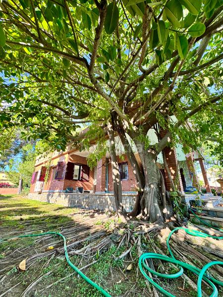 Foto 621fa9ed-1ee4-4d04-8a75-2627fb17c813. Chalet avec cheminée chauffage parking piscine dans Pobla de Vallbona (la)