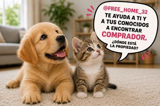 Etagenwohnung in Avenida del mediterráneo 39. Piso benidorm alicante