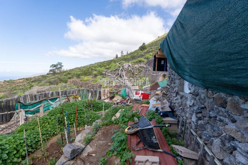 Foto 1a53c201-42bb-44f2-abba-96e95f15d96d. Finca rústica a Guía de Isora interior Guía de Isora