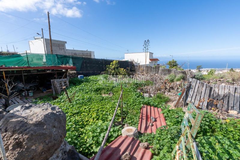 Foto 21677d00-e6fb-45bb-b046-94e39f2399ca. Finca rústica a Guía de Isora interior Guía de Isora