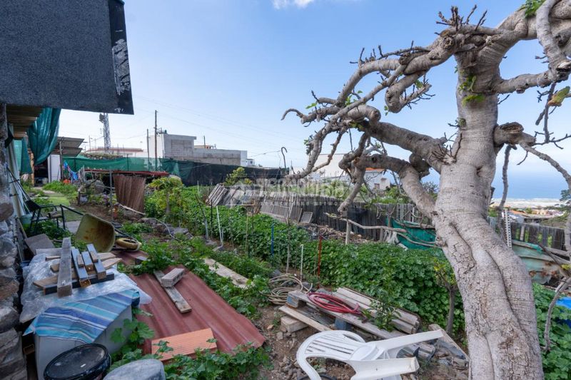 Foto 6ecc659c-cc38-48ce-988d-7aba1054318f. Finca rústica a Guía de Isora interior Guía de Isora