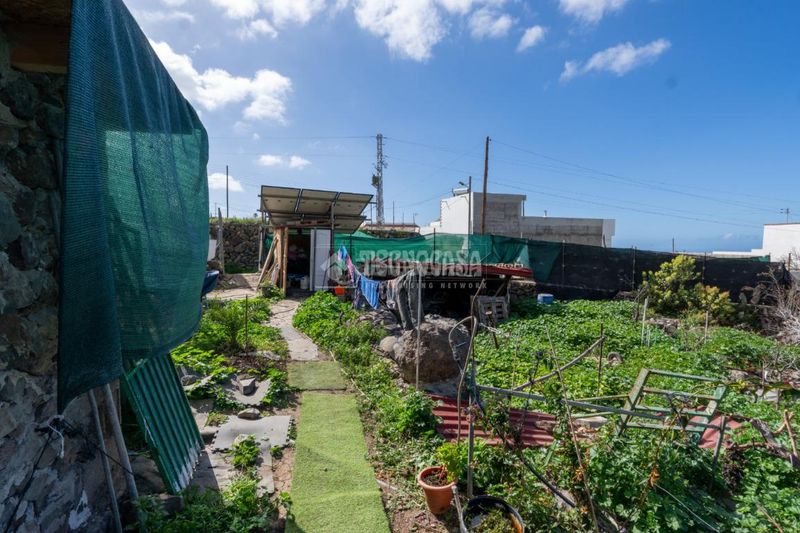 Foto 869eba77-2cdb-4a7f-a8c5-362ebeade59d. Finca rústica a Guía de Isora interior Guía de Isora