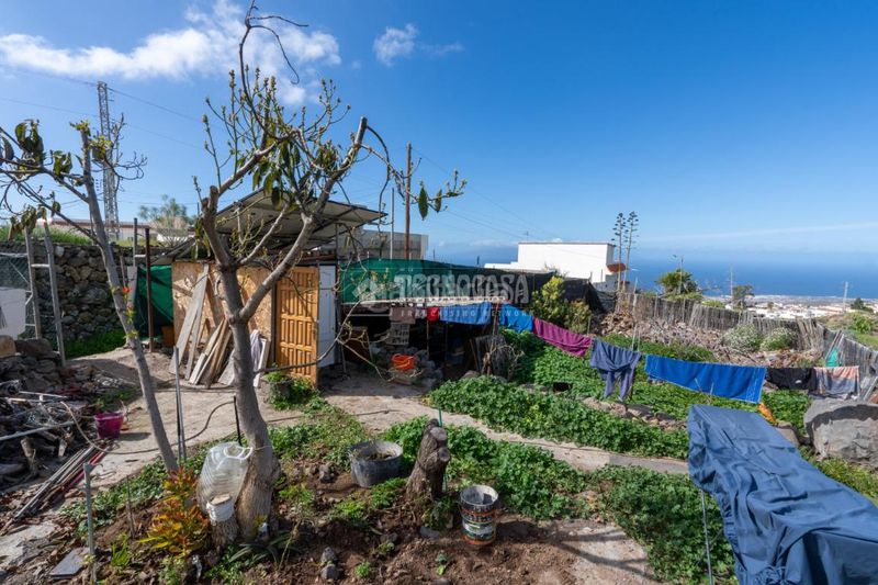 Foto 86c8eb8b-ed45-4c2d-9f58-0aee222ed04e. Finca rústica a Guía de Isora interior Guía de Isora