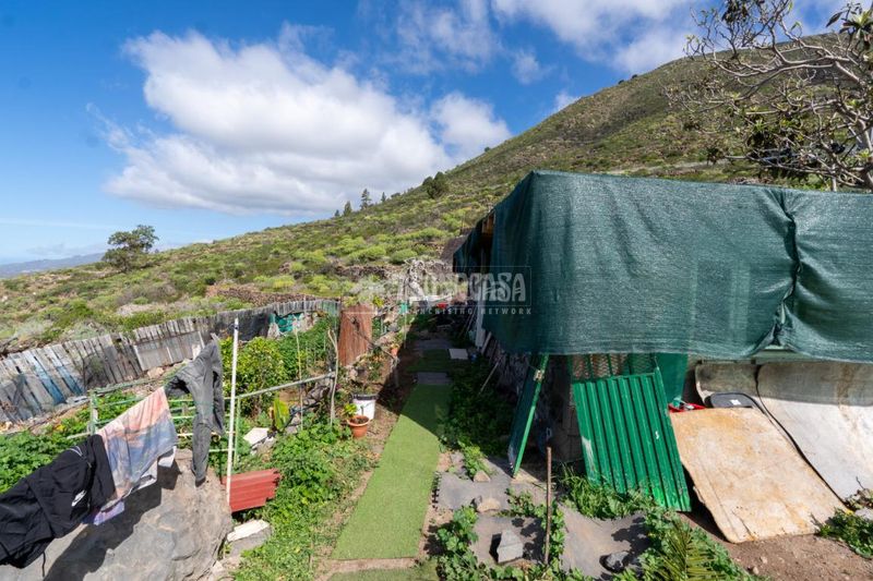 Foto 8efd403a-1703-4400-ba6b-f85a4416be6a. Finca rústica a Guía de Isora interior Guía de Isora