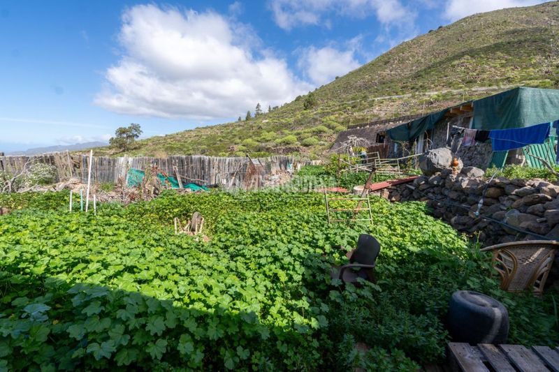 Foto d91b522f-3e96-4c4f-a165-29abe8e0bb35. Finca rústica a Guía de Isora interior Guía de Isora