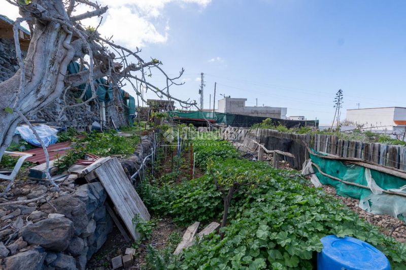 Foto de3338f8-1bb4-46e1-9e6d-aa8be51e28f2. Finca rústica a Guía de Isora interior Guía de Isora
