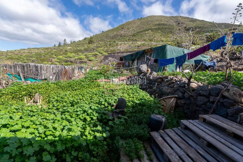 Foto f3a48724-8b20-4e5d-8ba5-547ffebdd90d. Finca rústica a Guía de Isora interior Guía de Isora