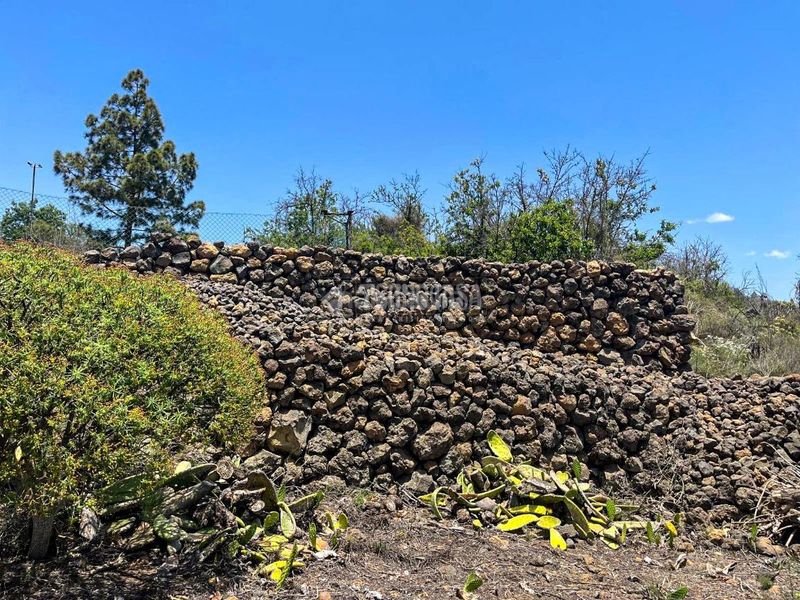 Foto 197d1dd8-b9d4-4e91-9f98-85eff1052b43. Finca rústica a Guía de Isora interior Guía de Isora