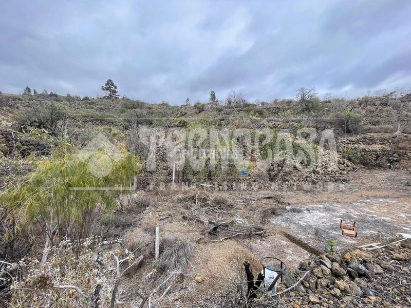Foto 423f7c3c-44e4-4813-a64a-996f640dd5f3. Finca rústica a Chío Guía de Isora
